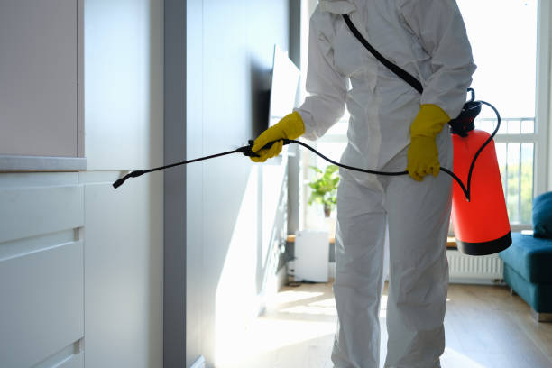 Best Commercial Mold Remediation in Foscoe, NC